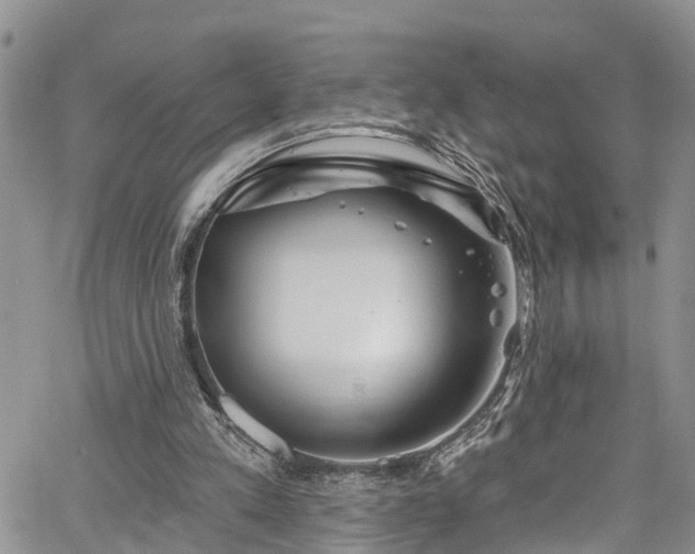 X0000067900197200604201343