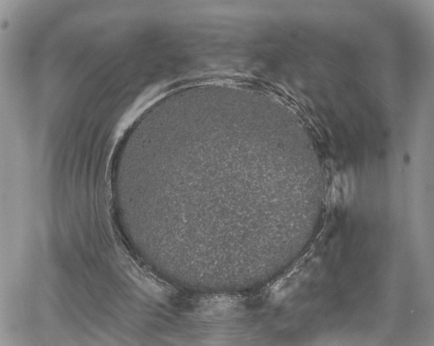 X0000067900198200604201343