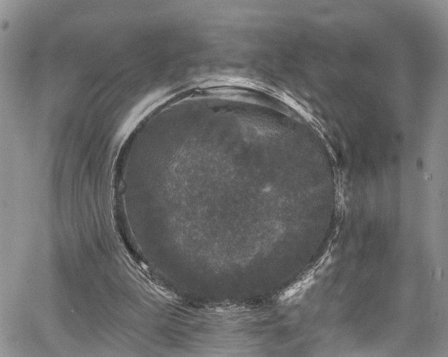 X0000067900199200604201343