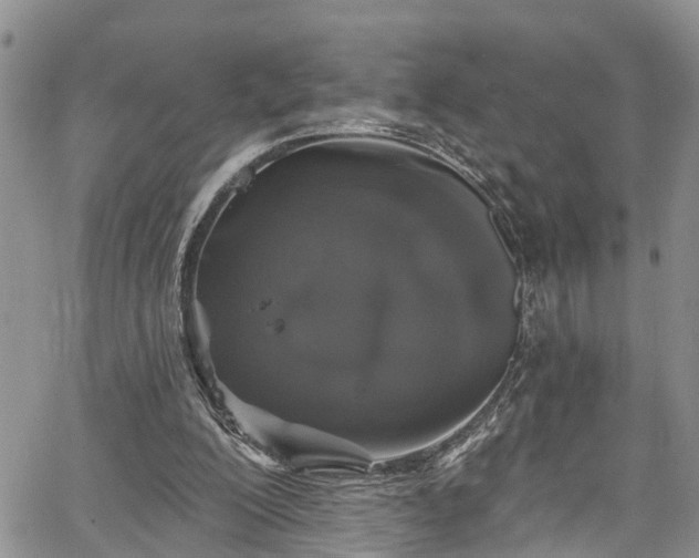 X0000067900200200604201343