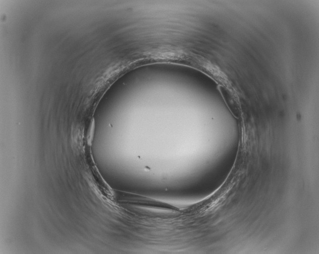 X0000067900201200604201343