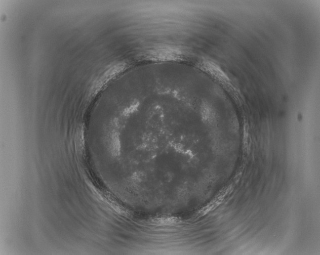 X0000067900202200604201343