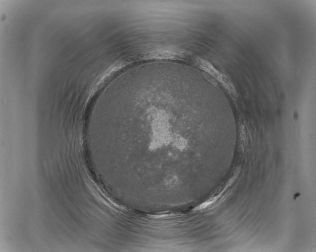 X0000067900203200604201343