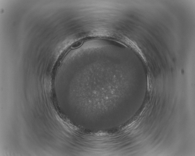 X0000067900204200604201343