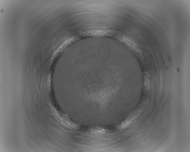 X0000067900206200604201343