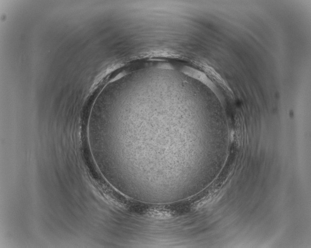 X0000067900207200604201343