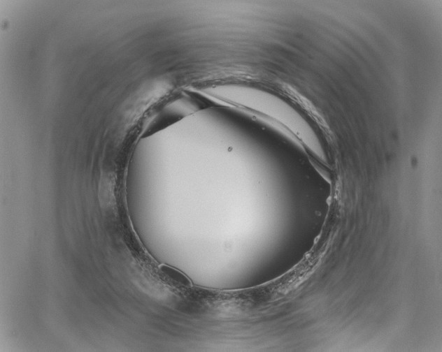 X0000067900209200604201343