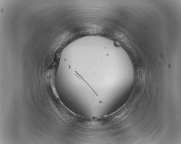 X0000067900212200604201343