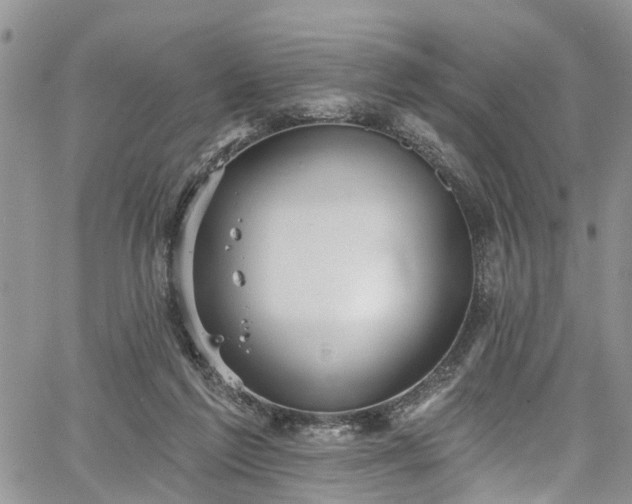 X0000067900213200604201343