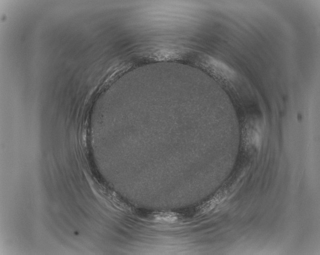 X0000067900214200604201343