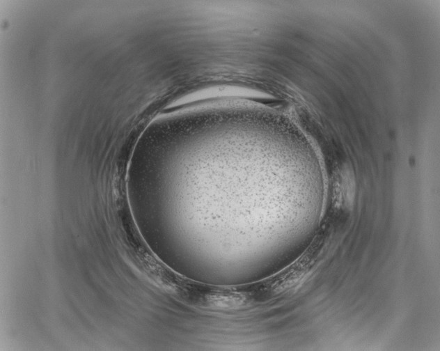 X0000067900215200604201343