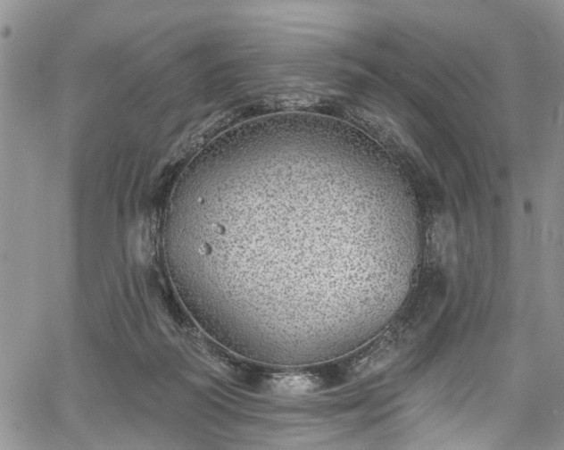 X0000067900218200604201343