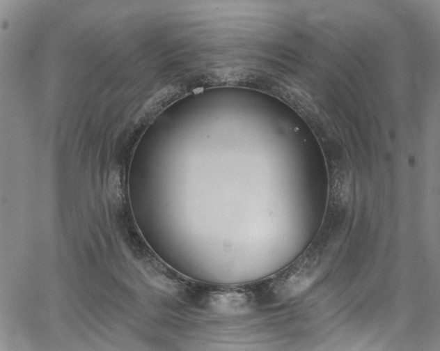 X0000067900220200604201343