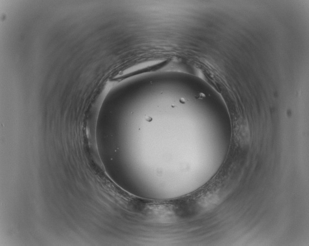 X0000067900221200604201343