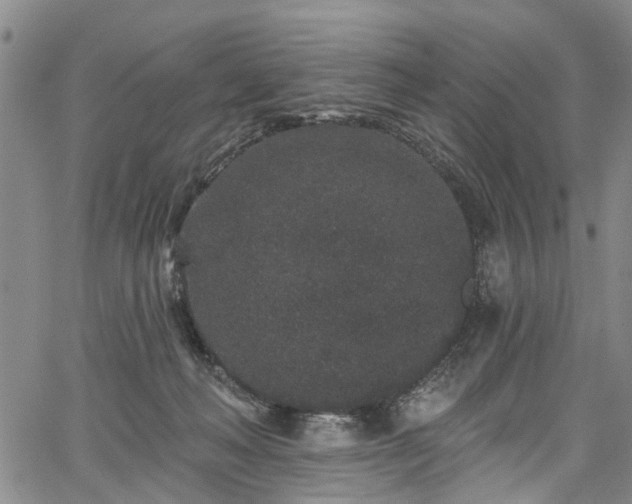 X0000067900222200604201343