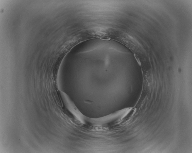 X0000067900223200604201343