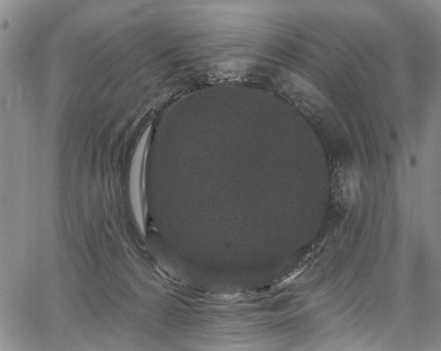 X0000067900224200604201343