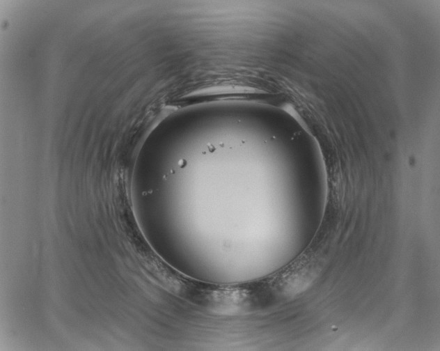 X0000067900225200604201343