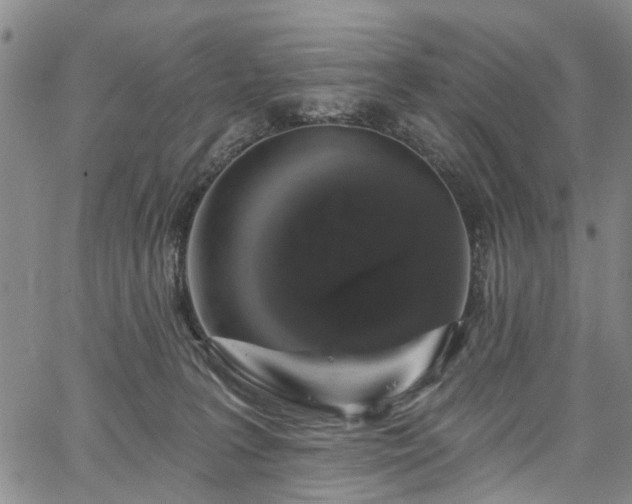 X0000067900227200604201343