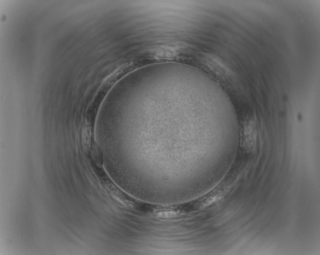 X0000067900228200604201343