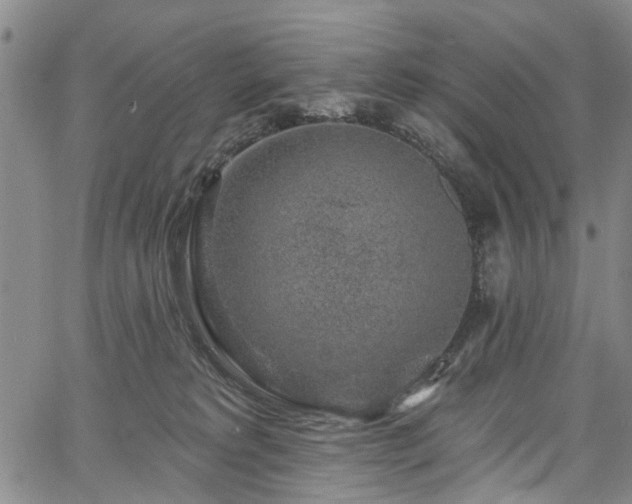 X0000067900229200604201343