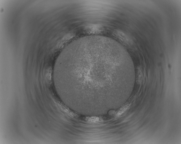 X0000067900230200604201343