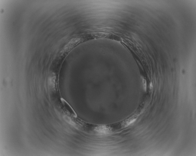 X0000067900231200604201343