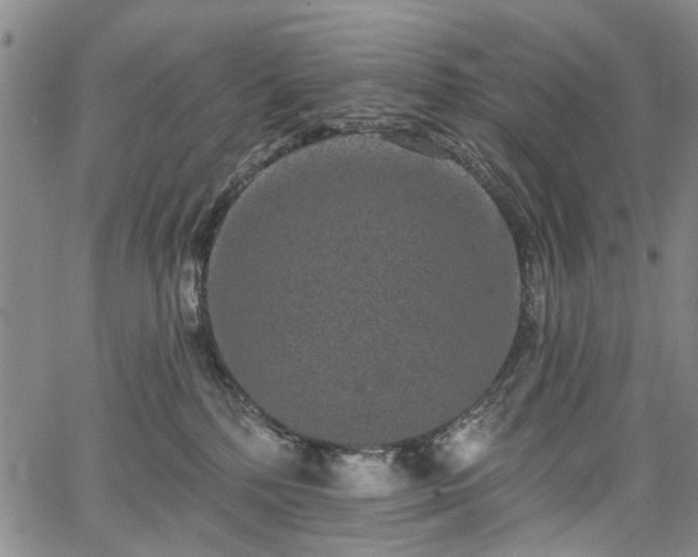 X0000067900232200604201343