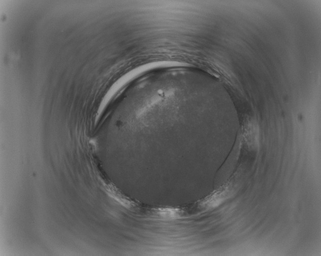 X0000067900233200604201343