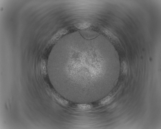 X0000067900234200604201343