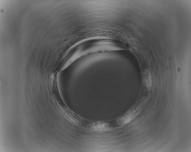 X0000067900235200604201343