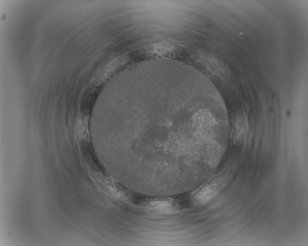 X0000067900236200604201343