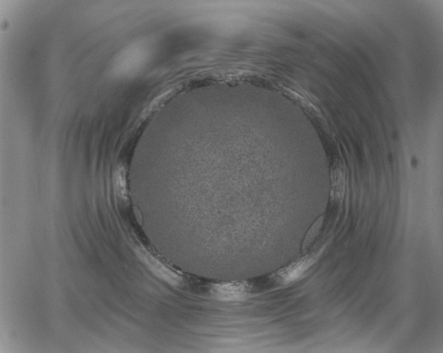 X0000067900238200604201343