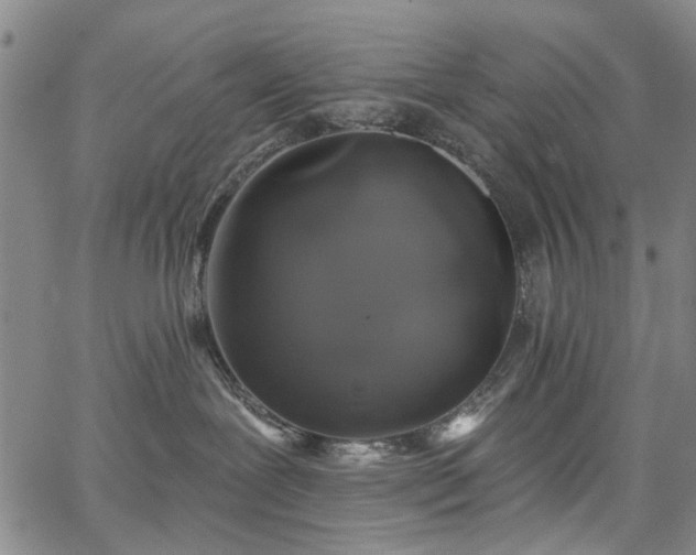 X0000067900239200604201343