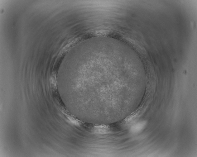 X0000067900240200604201343