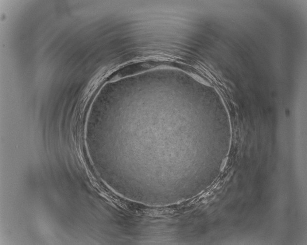 X0000067900241200604201342