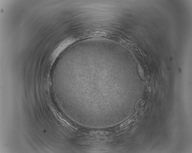 X0000067900242200604201342