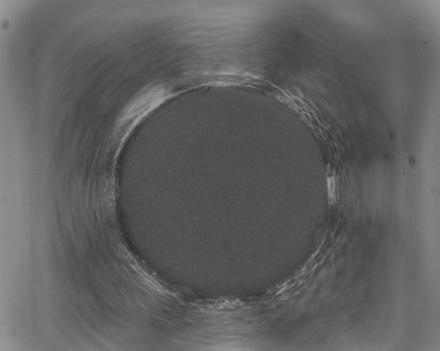 X0000067900243200604201342