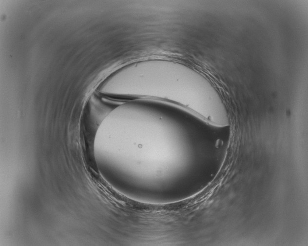 X0000067900244200604201342