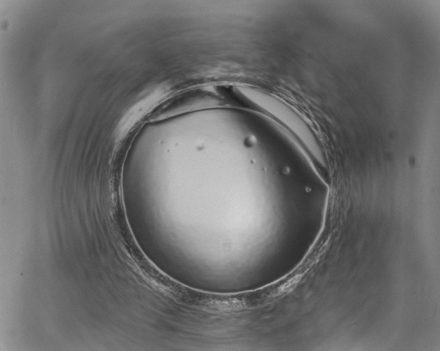 X0000067900245200604201342