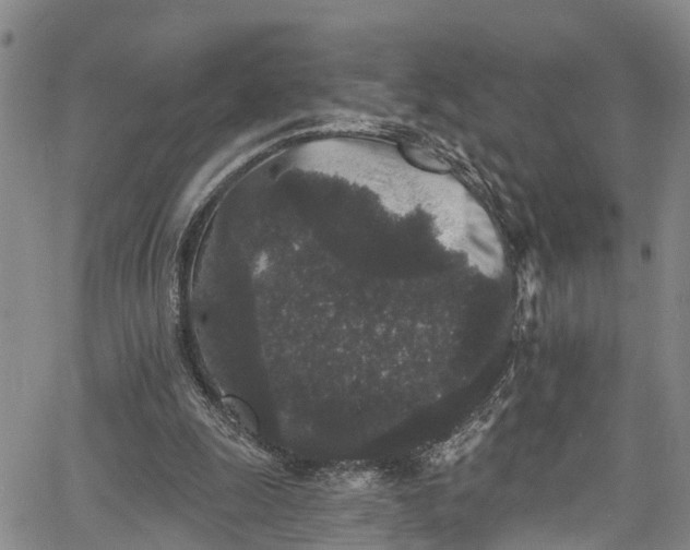 X0000067900247200604201342