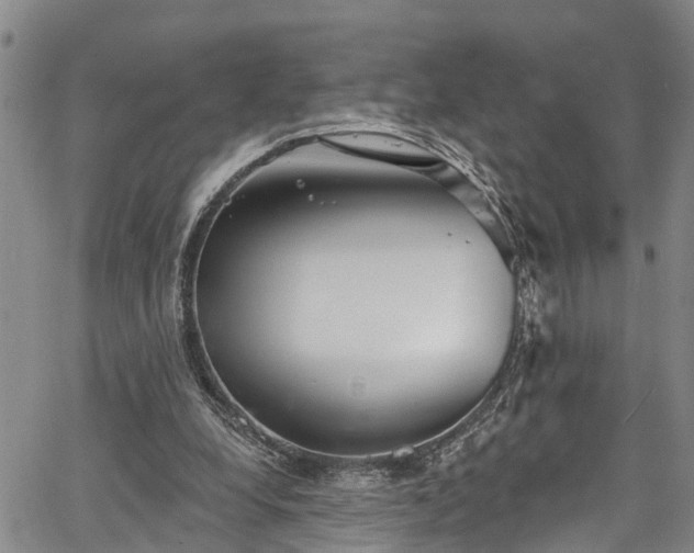 X0000067900248200604201342