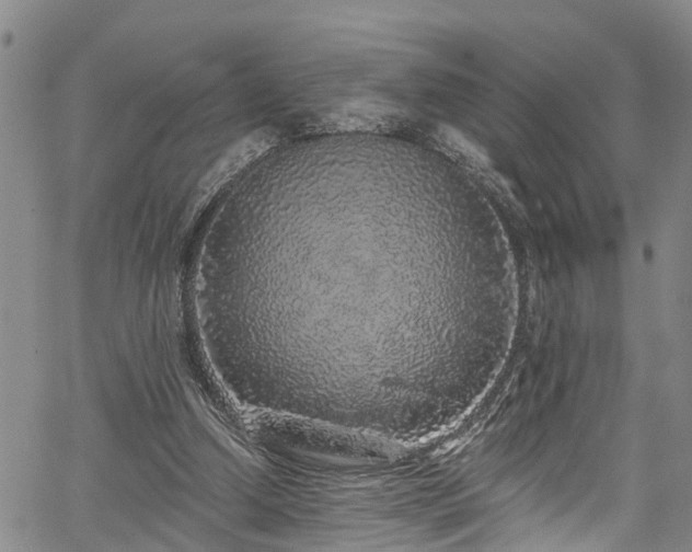 X0000067900250200604201342