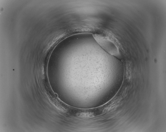 X0000067900251200604201342