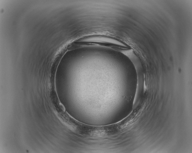 X0000067900252200604201342