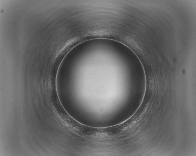 X0000067900256200604201342