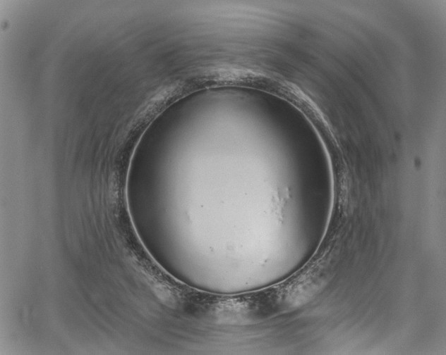 X0000067900257200604201342