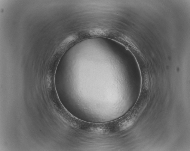 X0000067900259200604201342