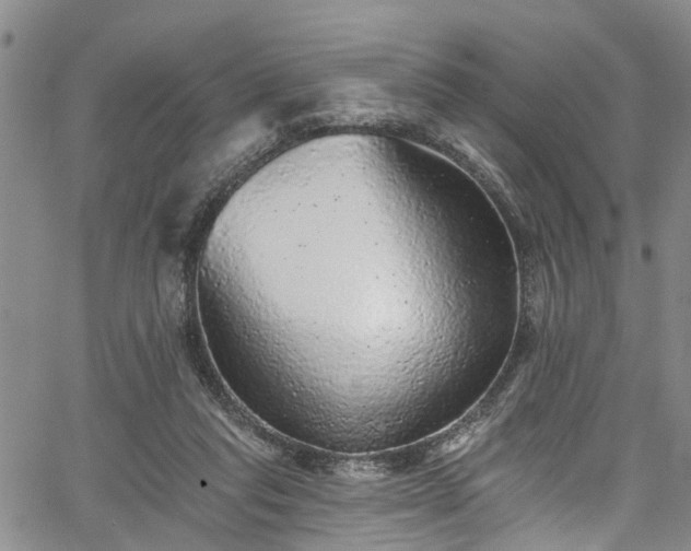 X0000067900261200604201342