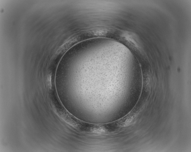 X0000067900262200604201342